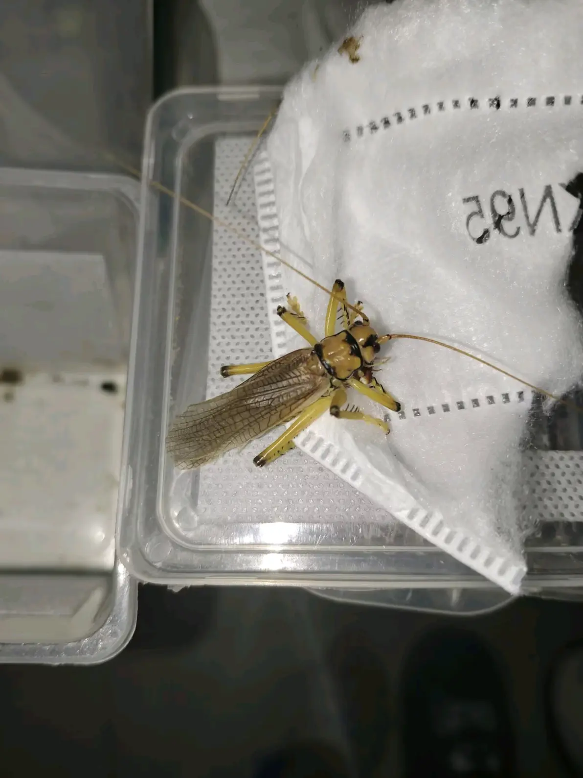 星空官网入口 -聻镔葉+?B[澏gr碏狒